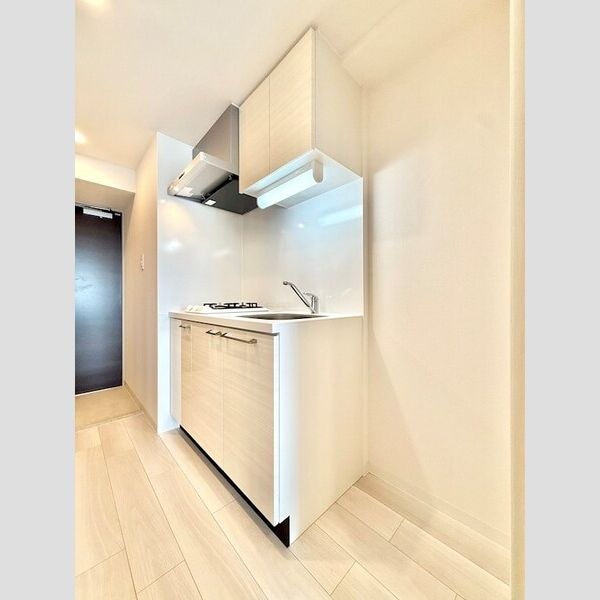 エスリード桜山ル・ヴェールの物件内観写真