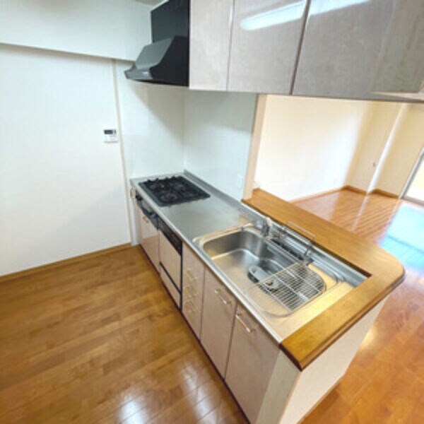 今池駅 徒歩6分 10階の物件内観写真