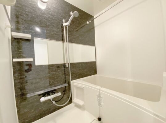 S-FORT古出来fioreの物件内観写真