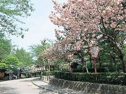 エイペックス京都東山三条の物件外観写真