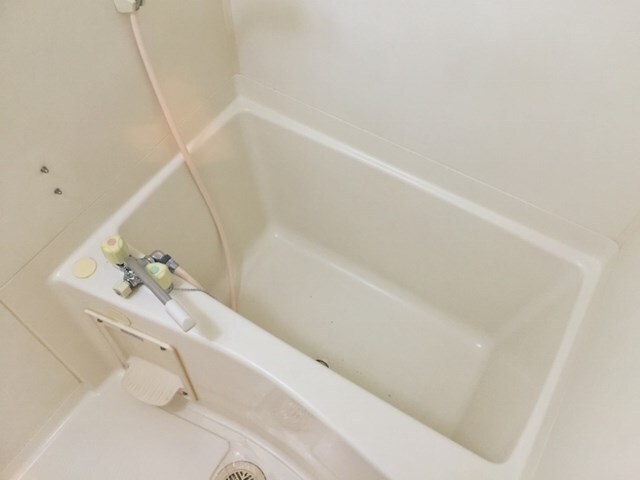 ソレイユハイツ泉中央の物件内観写真