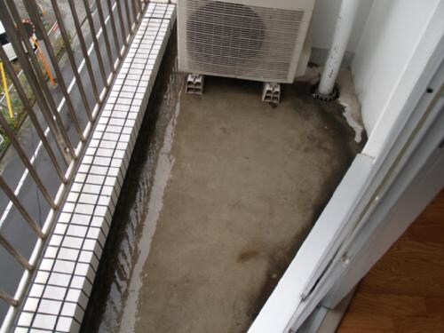 ホワイトキャッスル宮城野Ⅱの物件内観写真