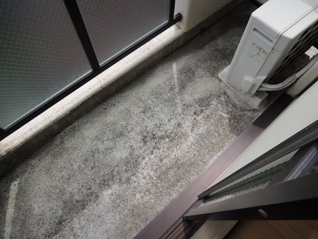 プラセール高橋の物件内観写真