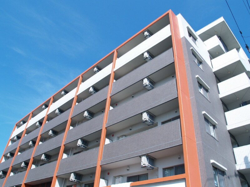 泉中央駅 徒歩54分 5階の物件外観写真