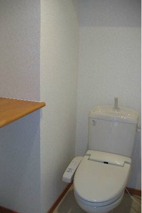 小鶴新田駅 徒歩2分 6階の物件内観写真