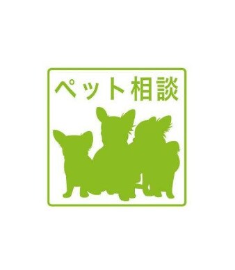 仮称)愛子東5丁目新築APの物件内観写真