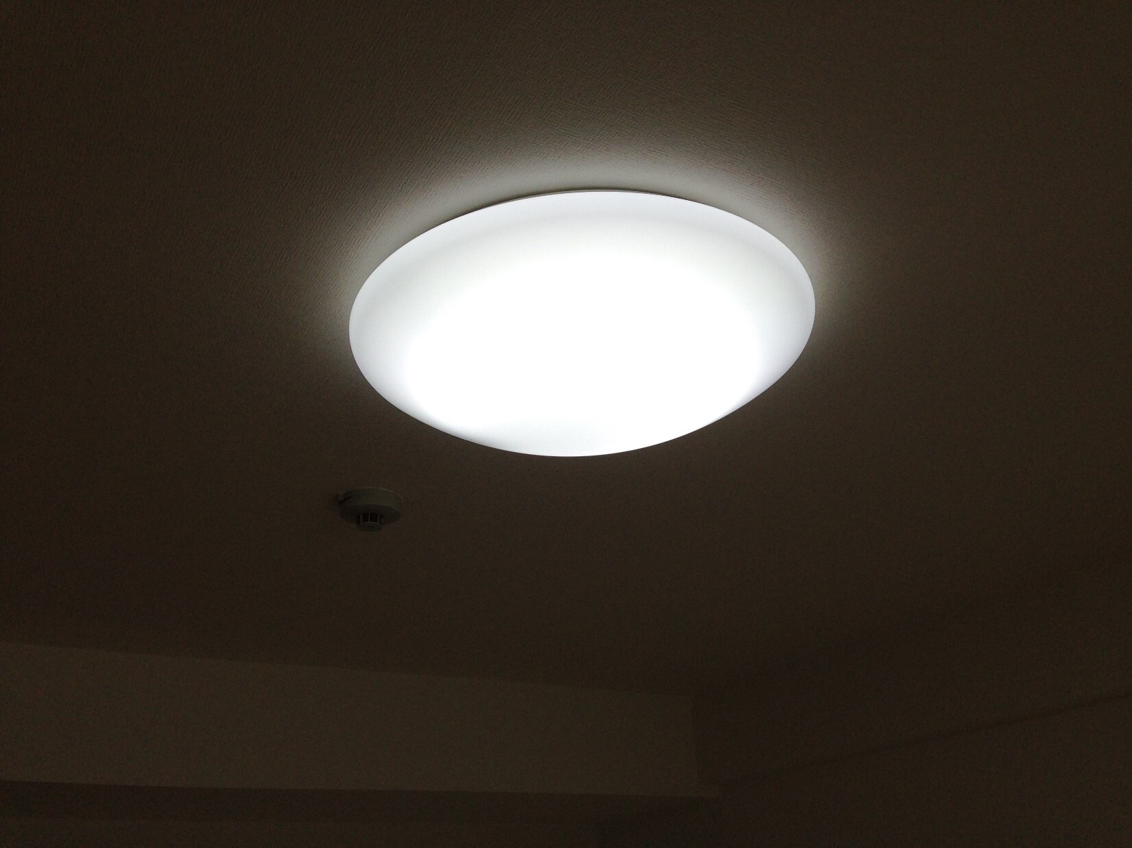 東照宮駅 徒歩5分 2階の物件内観写真