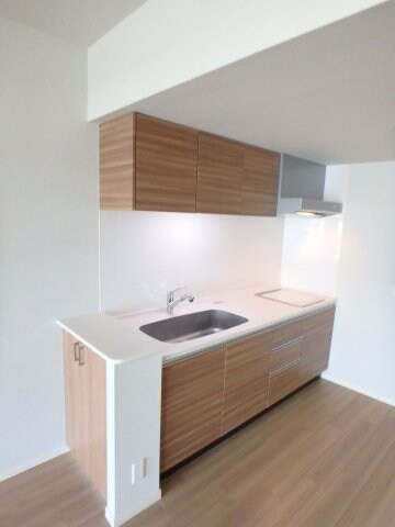 シュロスミーナ晩翠通の物件内観写真