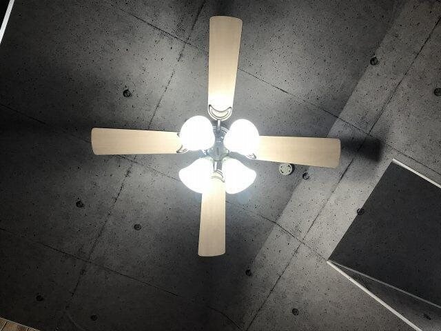 エクセルシャトーSの物件内観写真