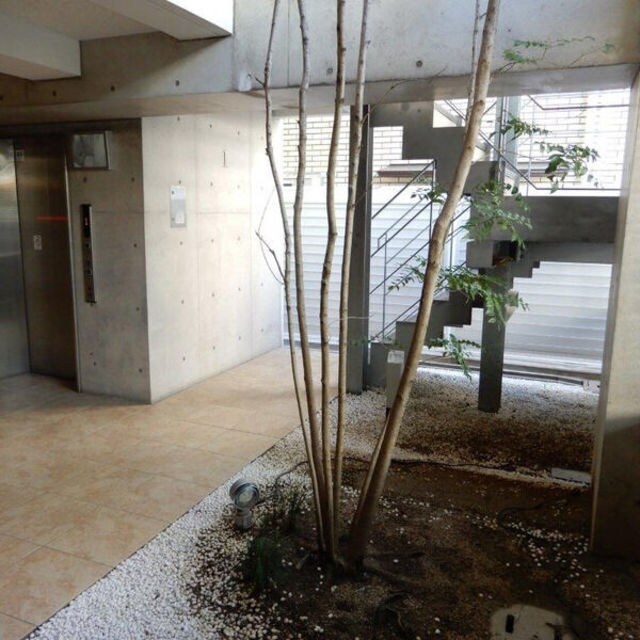 摂津本山駅 徒歩5分 1階の物件外観写真