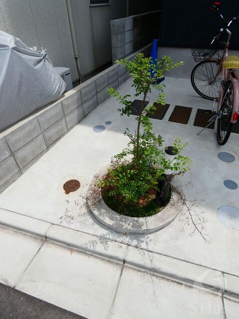 甲子園駅 徒歩9分 1階の物件外観写真