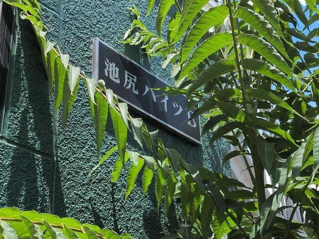 仁川駅 徒歩51分の物件外観写真