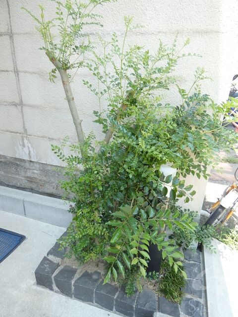 尼崎駅 徒歩13分 1階の物件外観写真