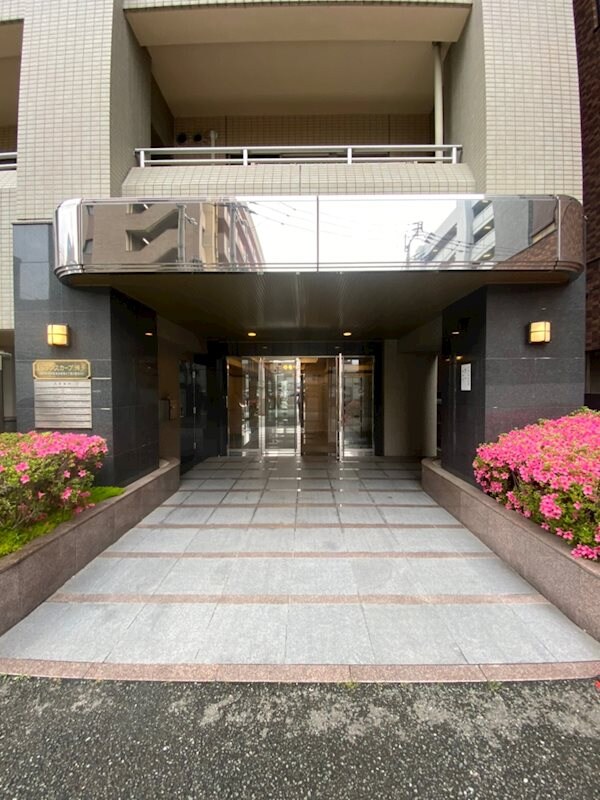 博多駅 徒歩15分 8階の物件内観写真