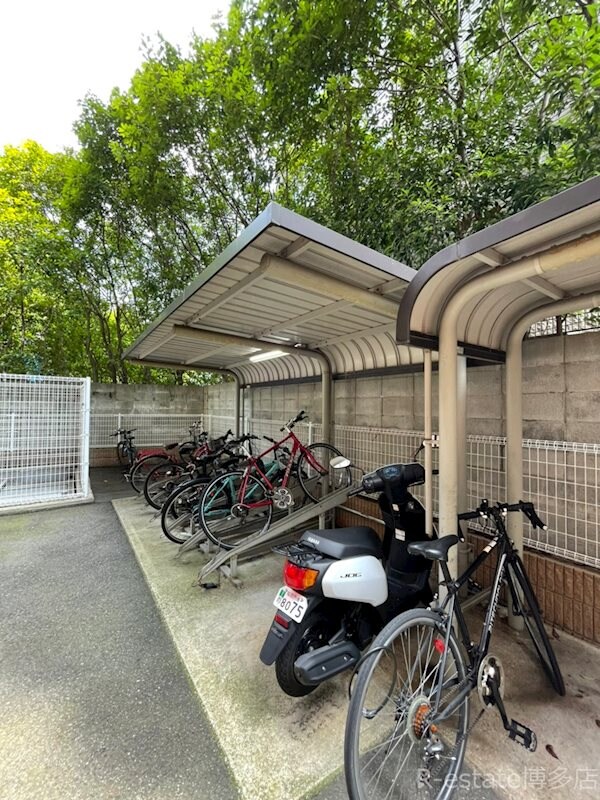 博多駅 徒歩10分 12階の物件内観写真