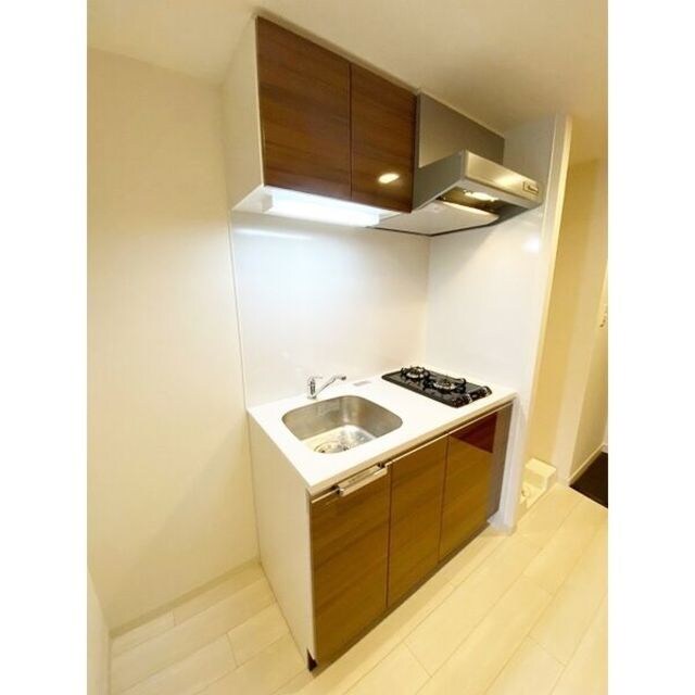 プレサンスTHE　KYOTO　流雅の物件内観写真