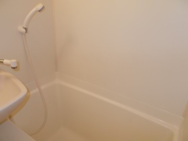 ミーティス衣笠の物件内観写真