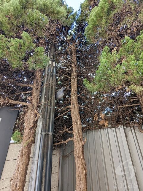 メゾンドカルムの物件外観写真