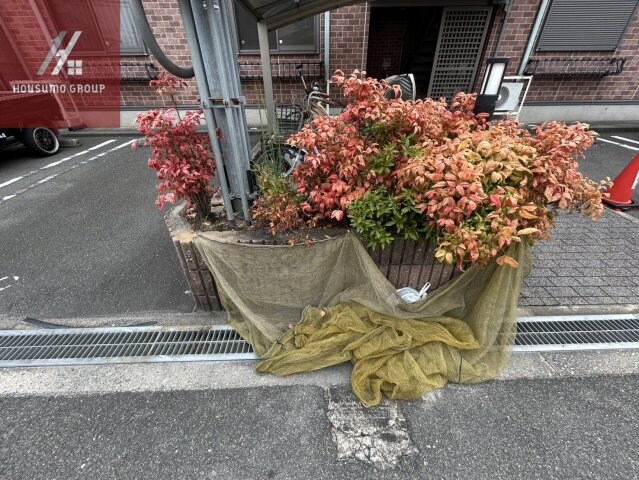 ヴィラ・サノクチの物件内観写真