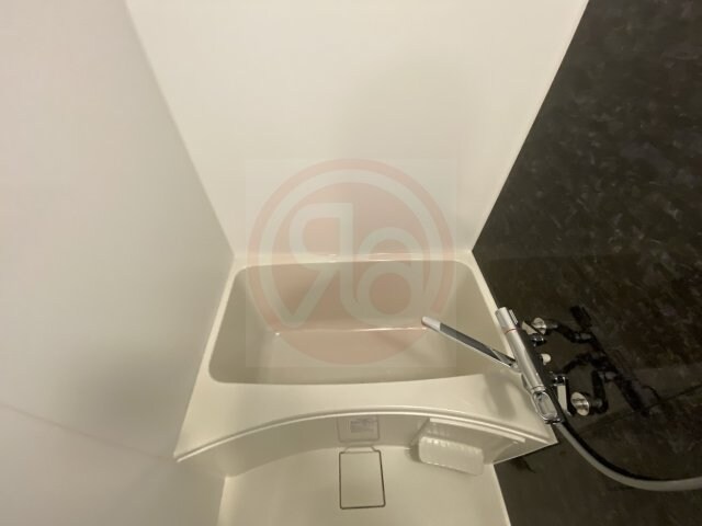 S-RESIDENCE高井田Centralの物件内観写真