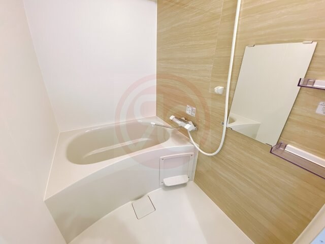 STEADY八戸ノ里の物件内観写真