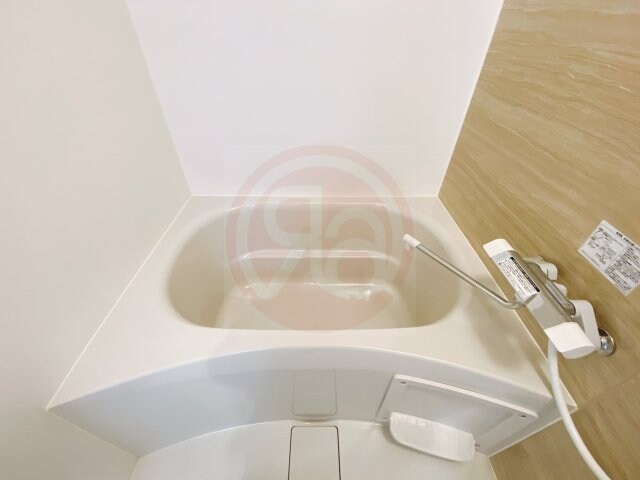 STEADY八戸ノ里の物件内観写真