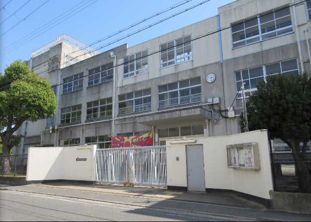 石切駅 徒歩20分 4階の物件内観写真