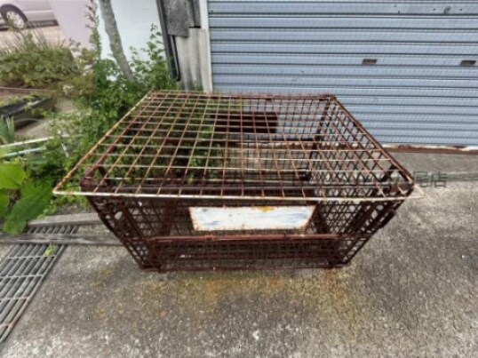 辻野ハイツの物件内観写真