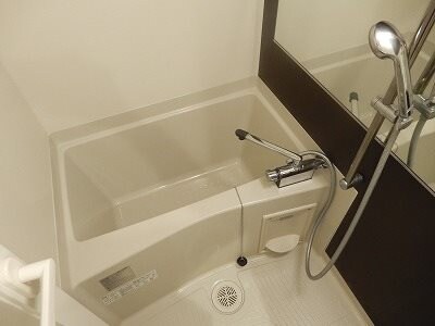 西長堀駅 徒歩5分 7階の物件内観写真