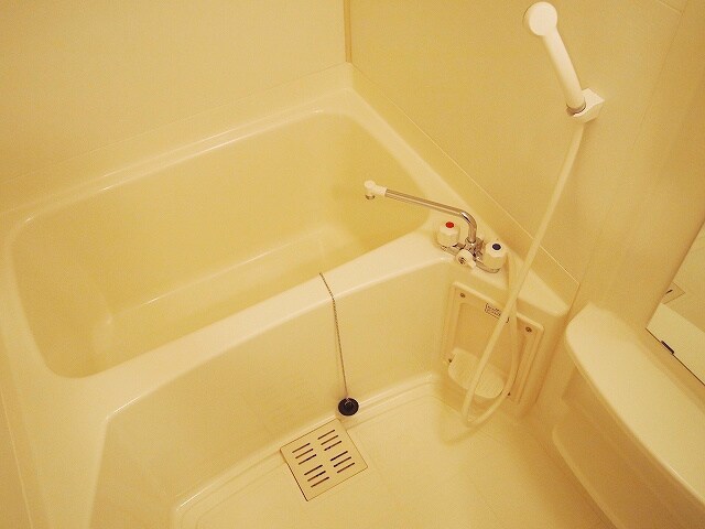 中津駅 徒歩8分 8階の物件内観写真