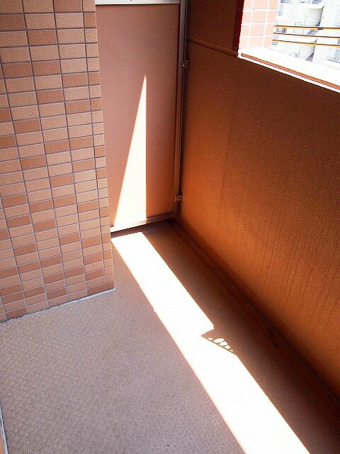 中津駅 徒歩8分 8階の物件内観写真