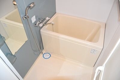 Fortuney北堀江（旧名称：Dimus北堀江）の物件内観写真