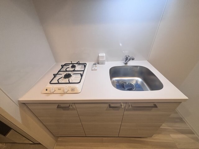 エスリードレジデンス大阪谷町ザ・マークスの物件内観写真