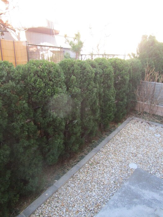 ガーデンハウス　Ｃの物件内観写真