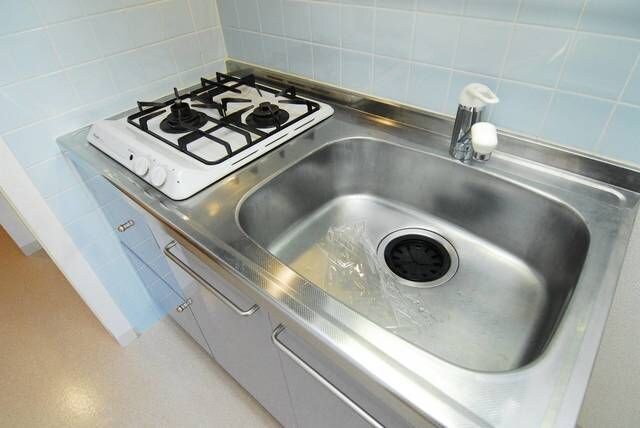 メゾン・ド・ヴィレ本駒込の物件内観写真