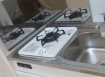 芦花公園駅 徒歩10分 1階の物件内観写真