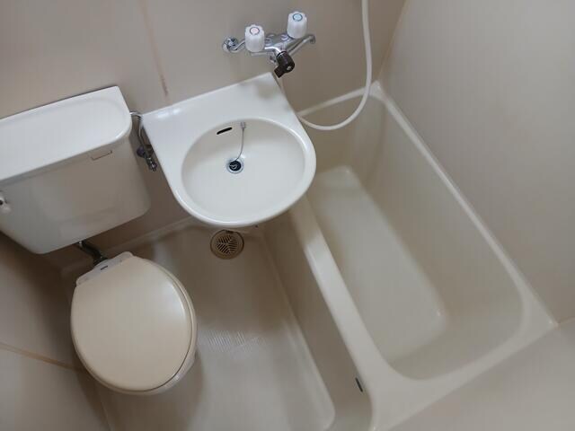 高島平駅 徒歩12分 5階の物件内観写真