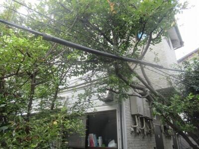 要町駅 徒歩10分 2階の物件外観写真