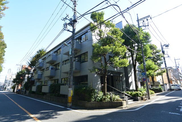 新江古田駅 徒歩7分 1階の物件外観写真