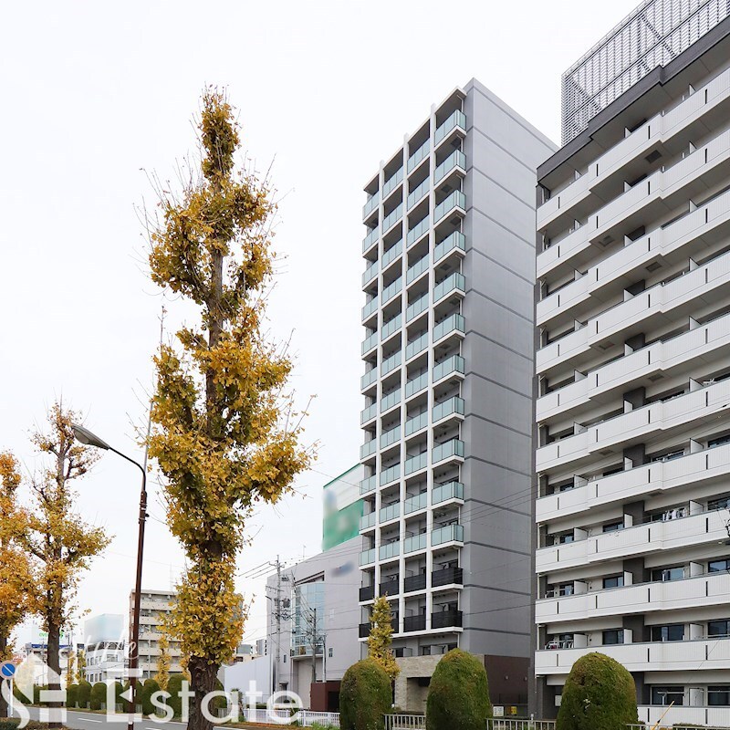 山王駅 徒歩5分 8階の物件外観写真