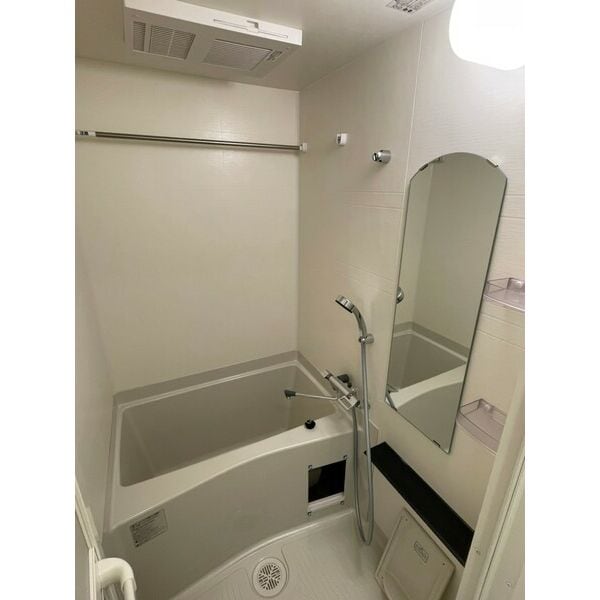 九条駅 徒歩9分 5階の物件内観写真