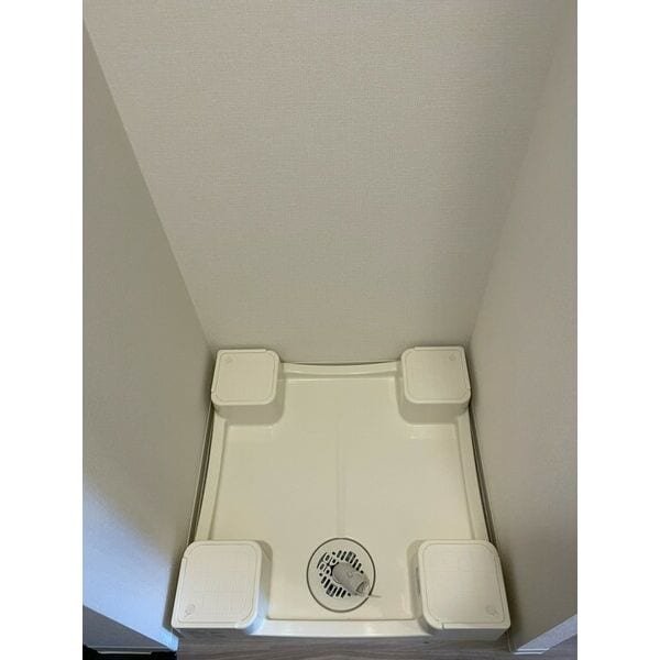 九条駅 徒歩9分 5階の物件内観写真