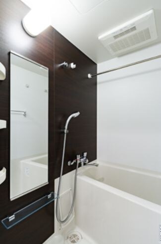 レビスタ白金高輪の物件内観写真