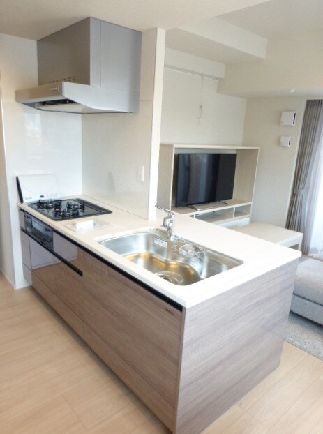 ザ・レジデンス赤坂檜町の物件内観写真