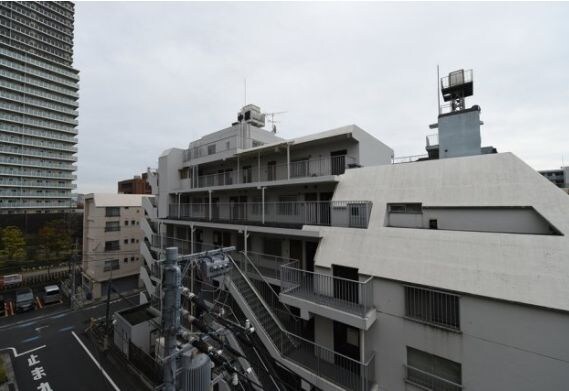 木場駅 徒歩8分 5階の物件内観写真