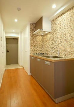 カスタリア芝公園の物件内観写真