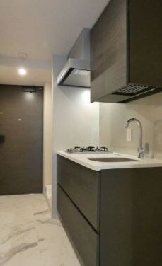 ザ・パークハビオＳＯＨＯ代々木公園の物件内観写真