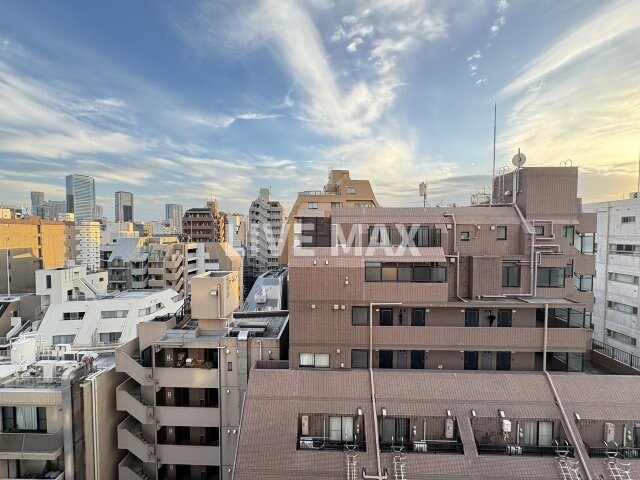 ＬａＳａｎｔｅ麻布十番の物件内観写真