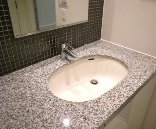 パークハビオ赤坂氷川町の物件内観写真