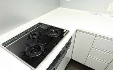 レジディアタワー目黒不動前の物件内観写真